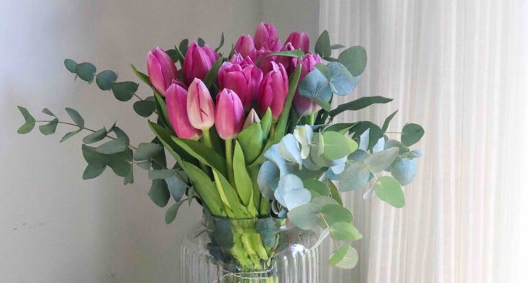 Cómo cuidar tulipanes en florero con bulbo