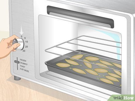 Cómo secar hojas en el horno para usos decorativos en jardinería