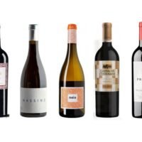 variedad-de-vinos-y-licores-de-calidad