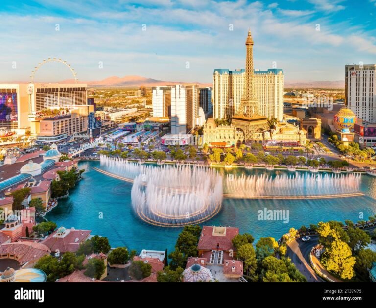 Qué servicios ofrece Paris Las Vegas Resort & Casino